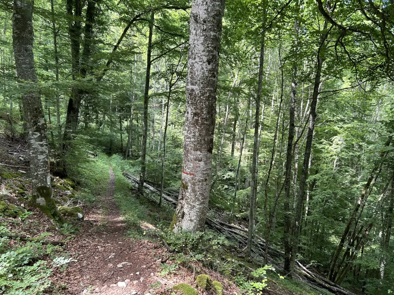 Deux jours dans les Coulmes (Vercors)