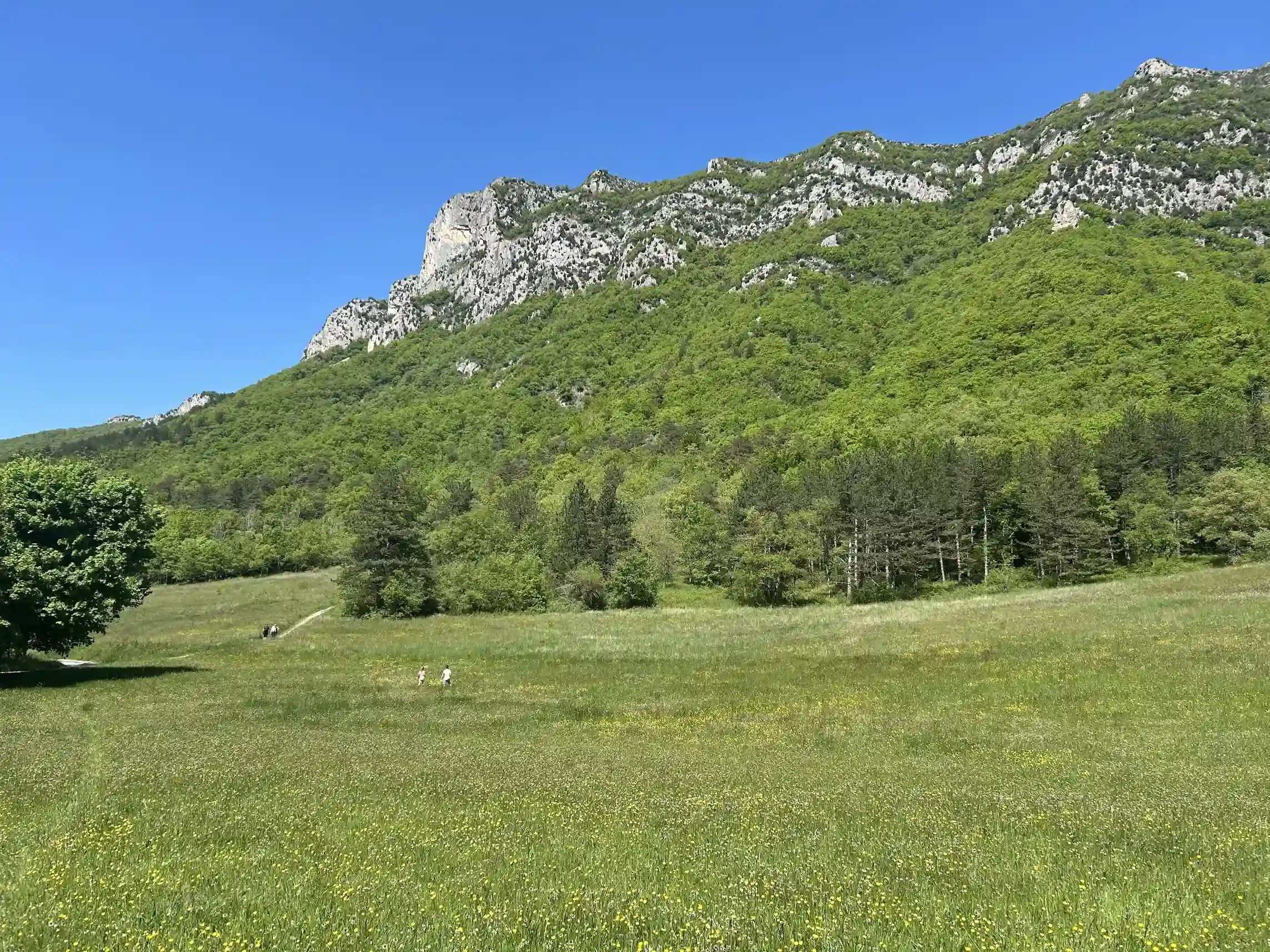 Chapelle Saint-Medard (depuis la forêt de Saoû)